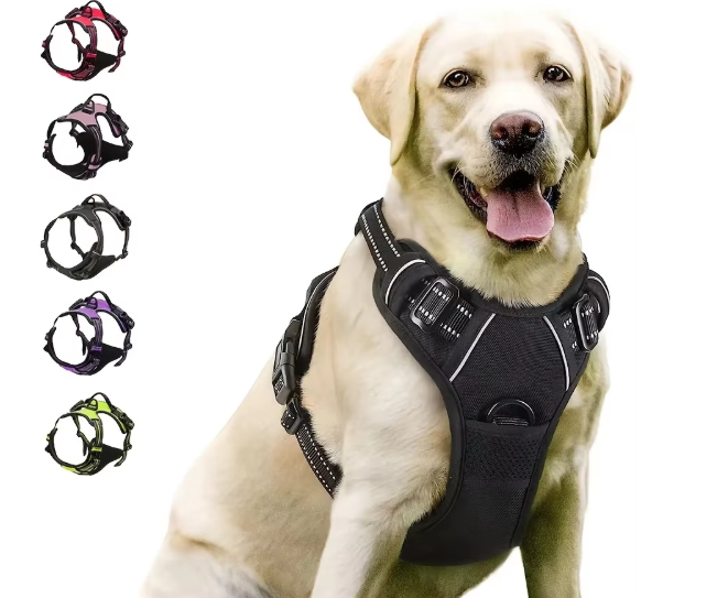 Easy Control Handle for Large Dog Walking