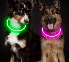 Pet Dog LED Light Collar