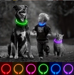 Pet Dog LED Light Collar