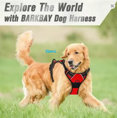 Easy Control Handle for Large Dog Walking