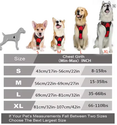 Easy Control Handle for Large Dog Walking