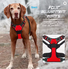 Easy Control Handle for Large Dog Walking