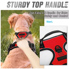 Easy Control Handle for Large Dog Walking