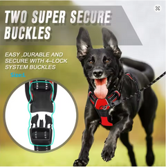 Easy Control Handle for Large Dog Walking