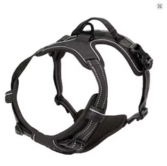 Easy Control Handle for Large Dog Walking