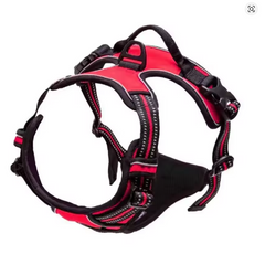 Easy Control Handle for Large Dog Walking