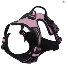 Easy Control Handle for Large Dog Walking