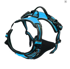 Easy Control Handle for Large Dog Walking