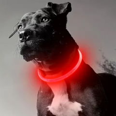 Pet Dog LED Light Collar