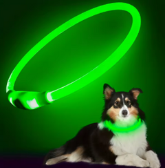Pet Dog LED Light Collar